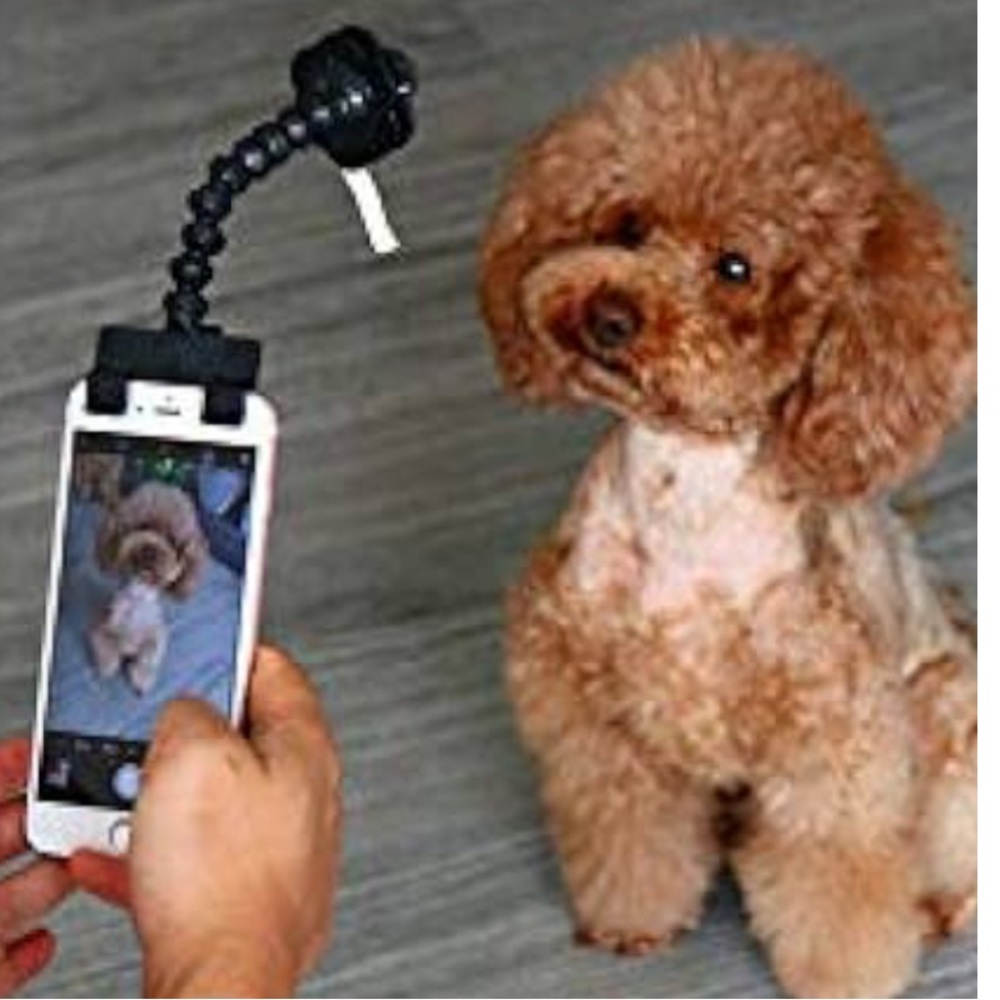 🐾HOST PICK 🐾 NIB DOG PET SELFIE PHONE HOLDER STICK